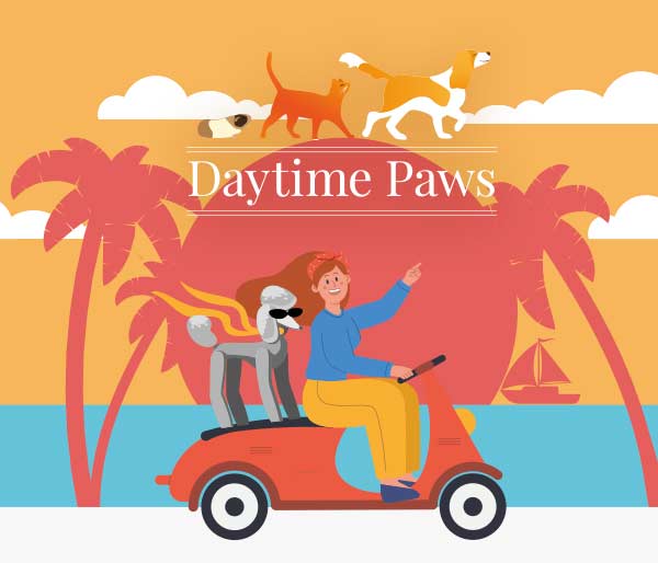 Daytime Paws Pet Services