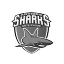 Antibes Sharks Basketball